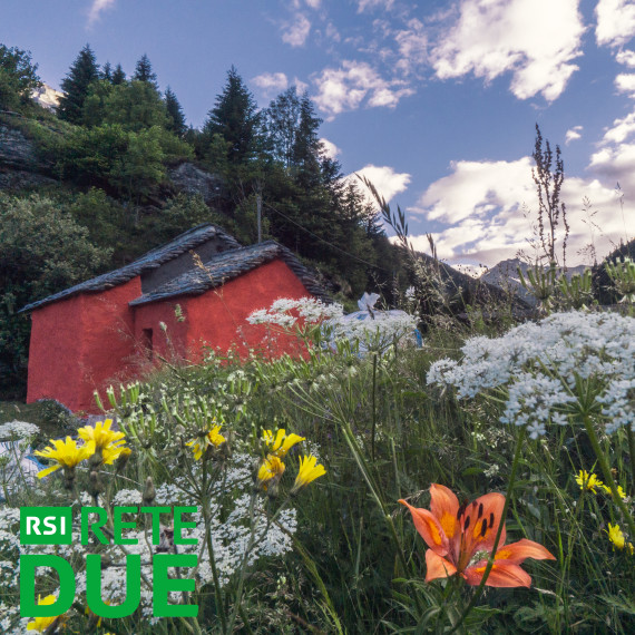 Intervista RSI Rete2